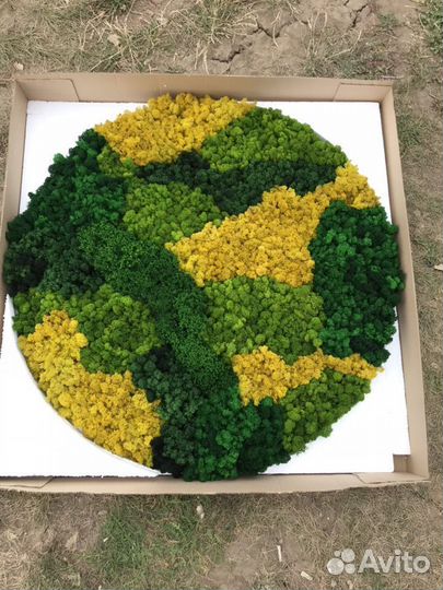 Фитокартина из стабилизированного мха 100см