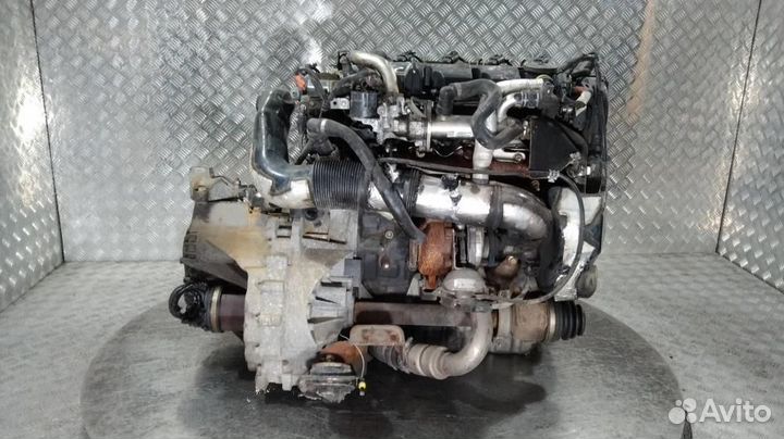 Двигатель к Ford Focus 2004-2009 G8DC