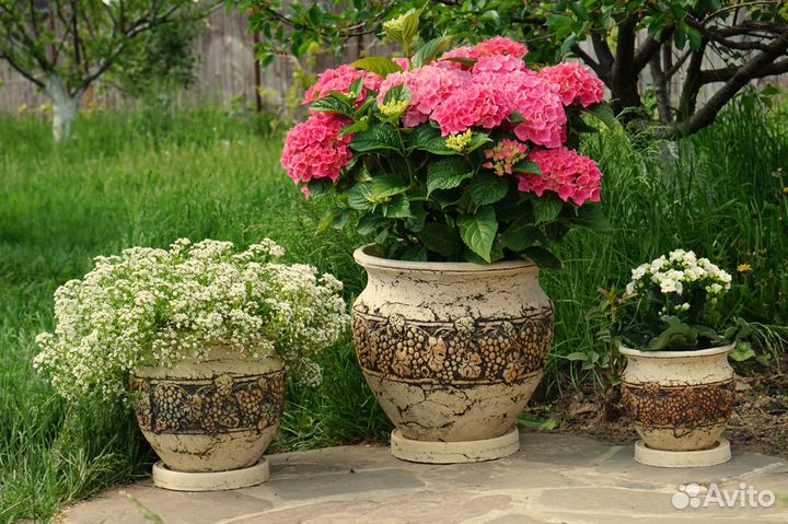 Вазоны для цветов