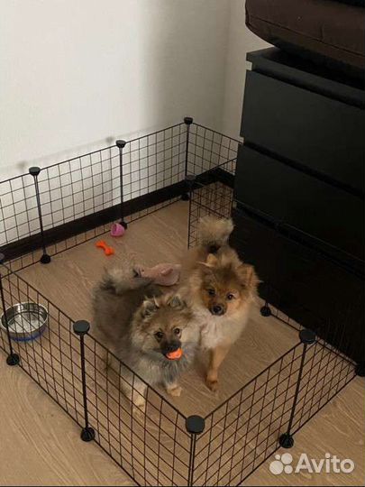 Клетка для животных (вольер, манеж для собак)