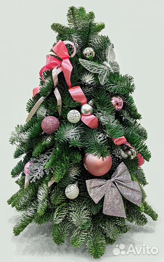 Елка из нобилис