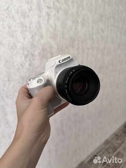 Canon EOS 250D Kit 18-55 IS STM White