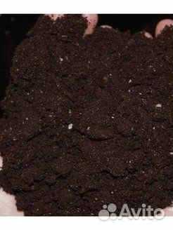 Торфогрунт