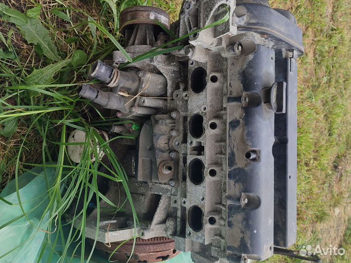 Двигатель ford focus 2 1.6 100 л с shda