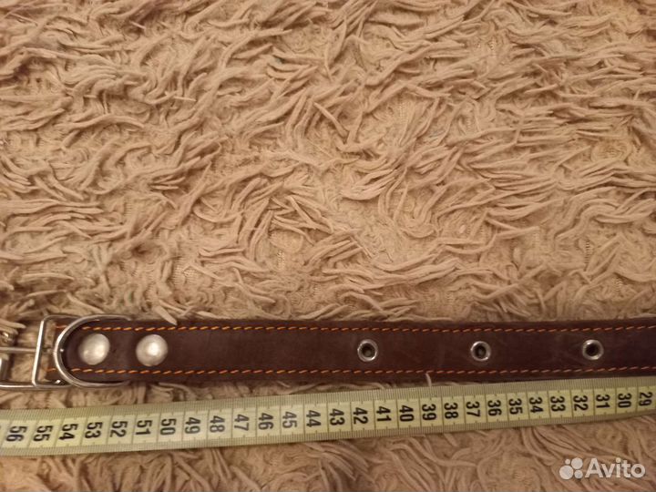 Ошейник и поводок