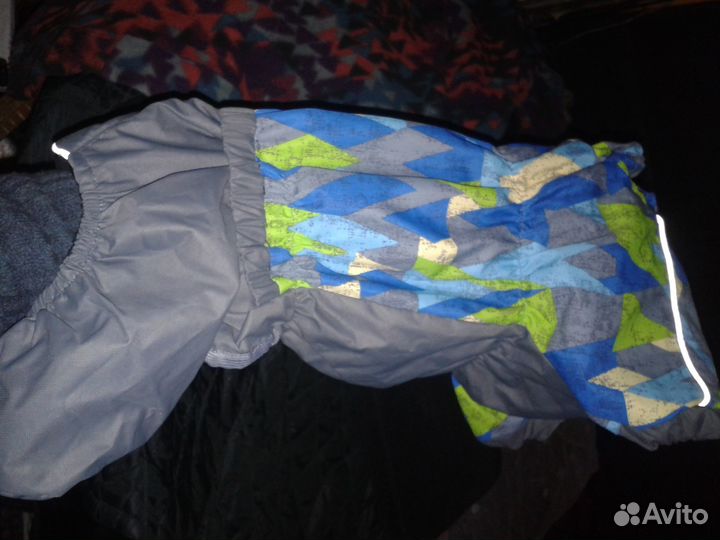 Одежда для таксы