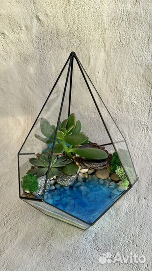 Флорариум, светящийся водоём