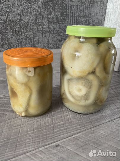 Грибы белый груздь и т.д