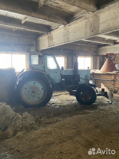 Фермерское хозяйство. (Эко туризм )