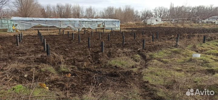 Винтовые сваи под ключ от производителя