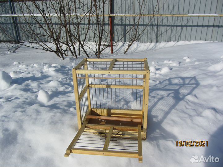 Певчие птицы