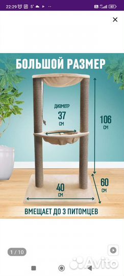 Когтеточка с гамаком