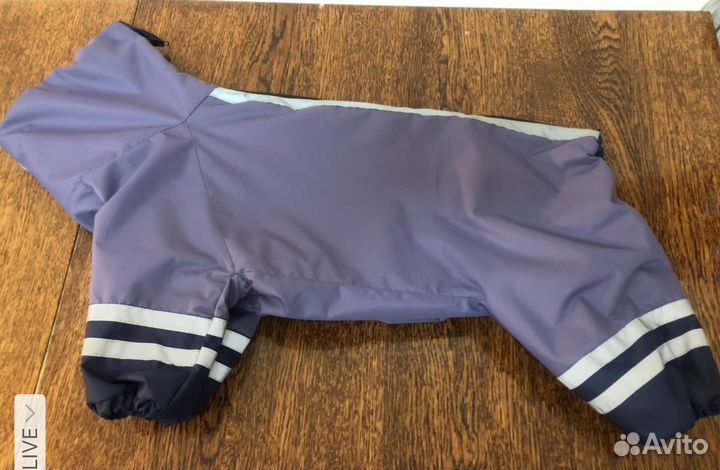 Шью одежду для собак