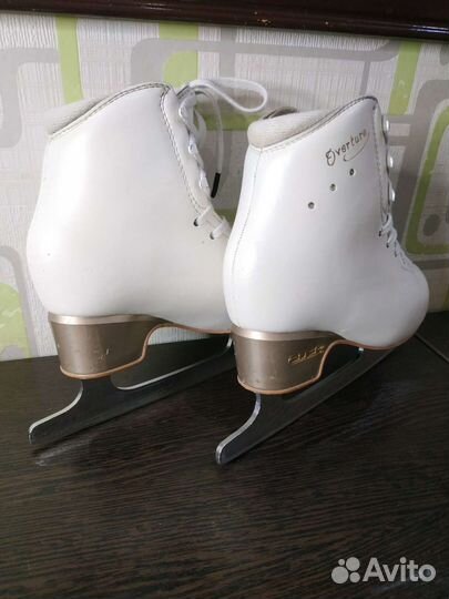 Фигурные коньки edea 220 overture