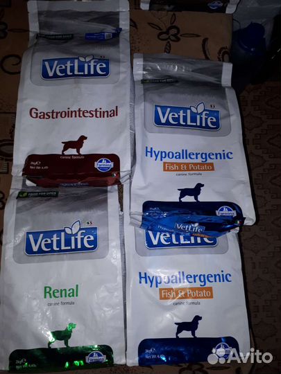 Farmina Gastrointestinal