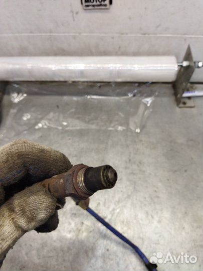 Датчик кислородный левый Ford Focus 3 хетчбэк 1.6