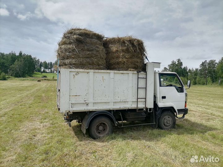 Сено в рулонах