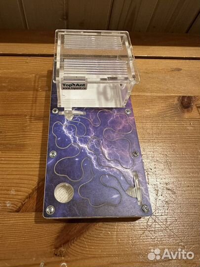 Муравьиная ферма без муравьев