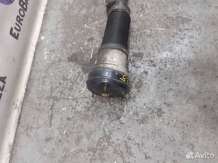 Пневмоамортизатор передний Mercedes W220