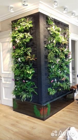 Обслуживание (Чистка ) Аквариумов Спб или Лен Об