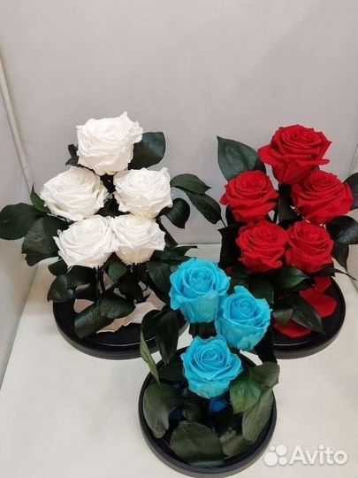 Розы оптом