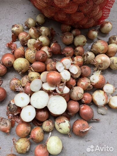 Каратал на посадку опт