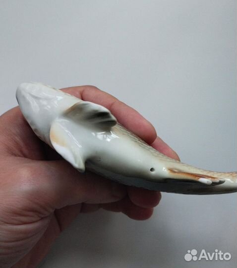 Ëрш фарфоровый