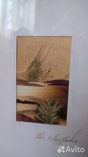 Картина из сухих растений