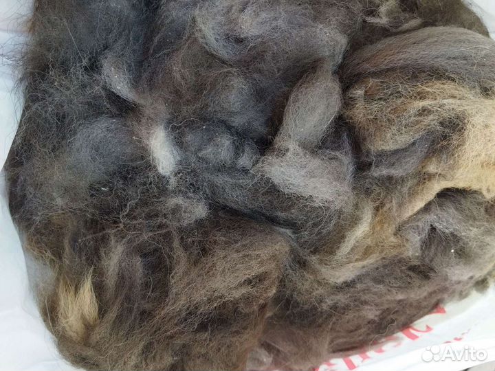 Собачья шерсть