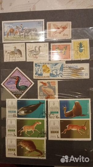 Марки флора и фауна разных стран