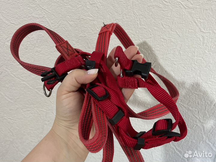 Шлейка и поводок