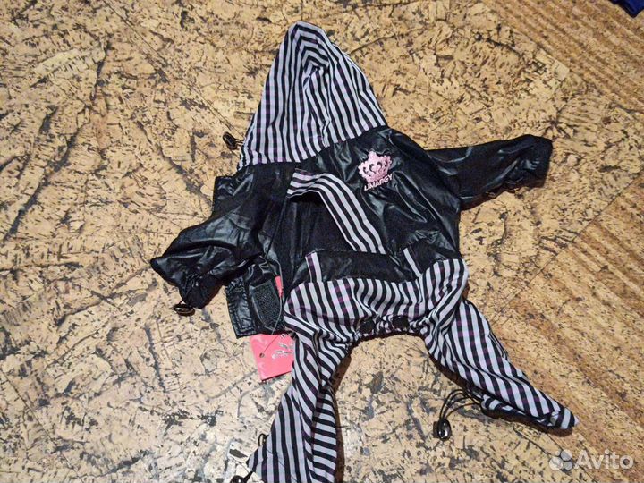 Одежда для маленьких собак