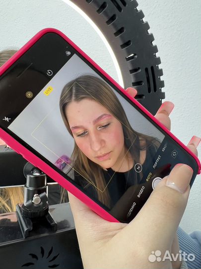 Обучение бровист