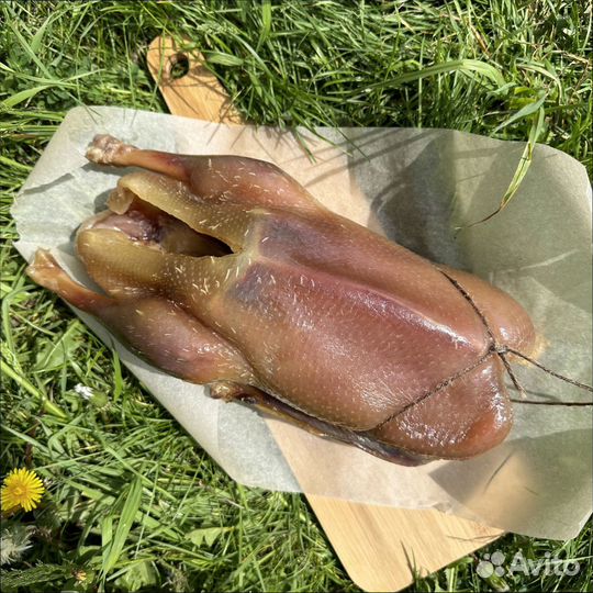 Казылык Гусь вяленый и копченый Чак чак