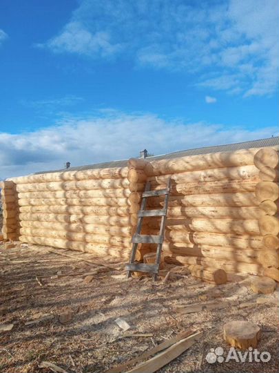 Срубы бань и домов