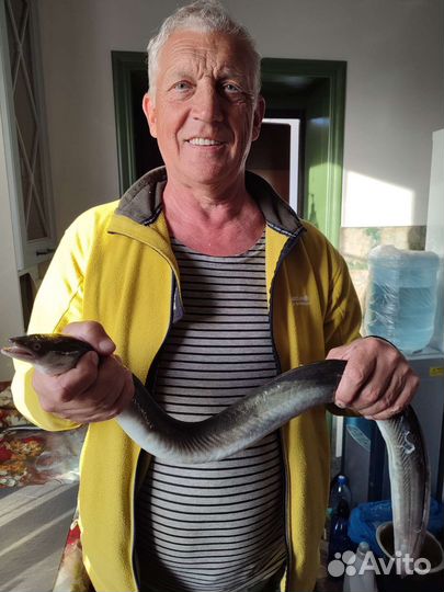 Угорь горячего копчения