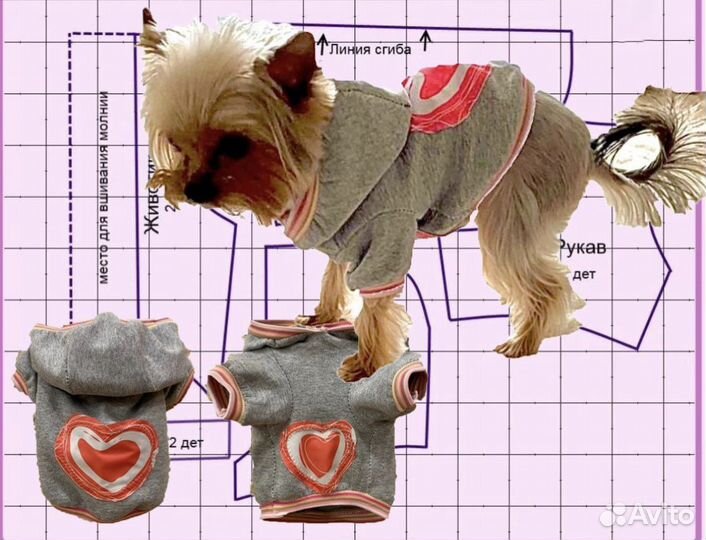 Выкройки одежды для собак