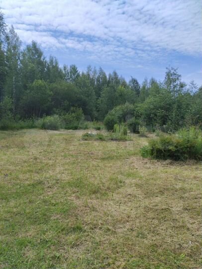 Дача 24 м² на участке 13 сот.