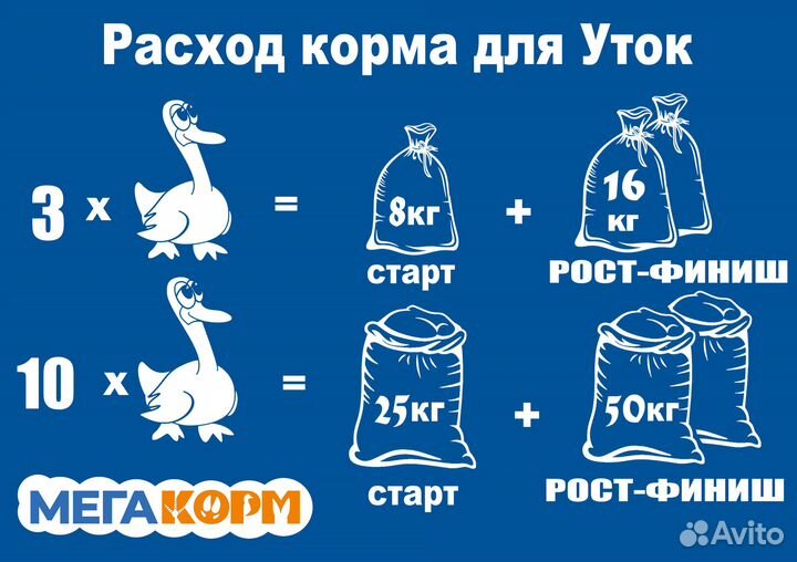 Комбикорм для уток и водоплавающей птицы