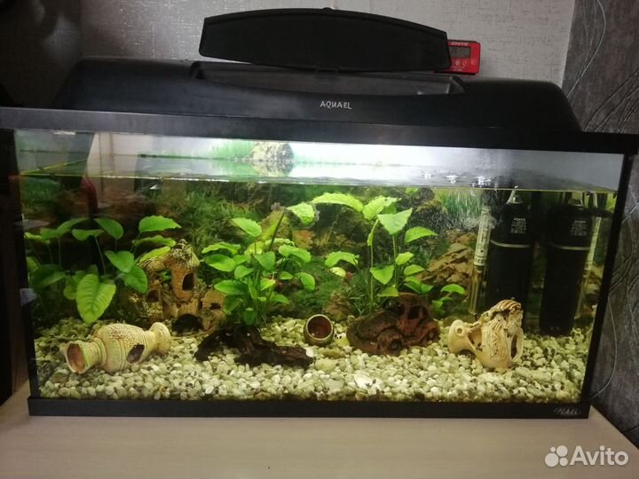 Аквариум с тумбой 120л