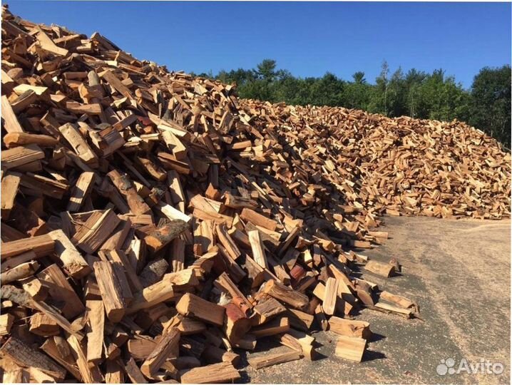 Дрова осиновые