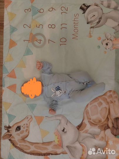 Плед для фотосессии по месяцам