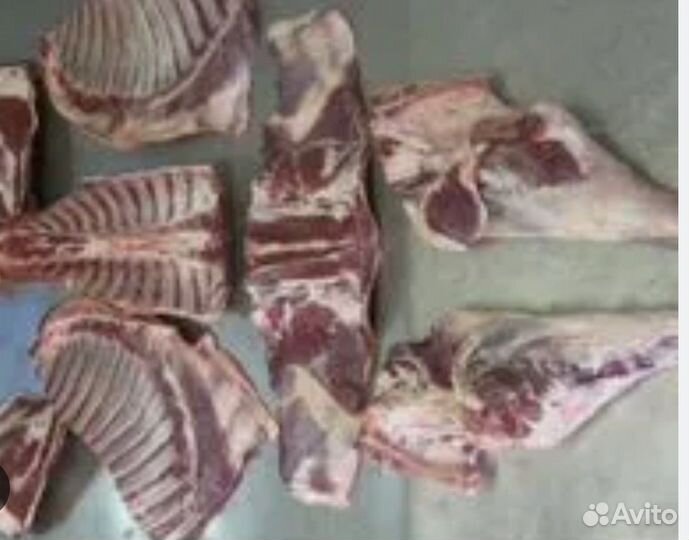 Козлятина мясо