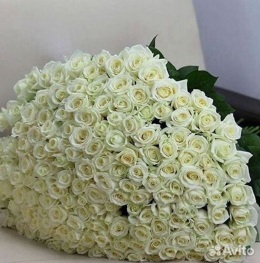 Высокие розы, букеты, цветы Доставка