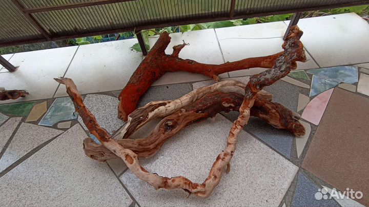 Коряги для аквариума