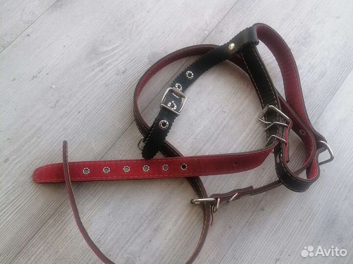 Шлейка для большой собаки