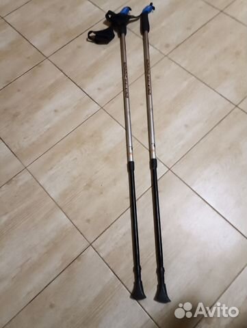Телескопические палки для скандинавской ходьбы купить в Калининграде ...