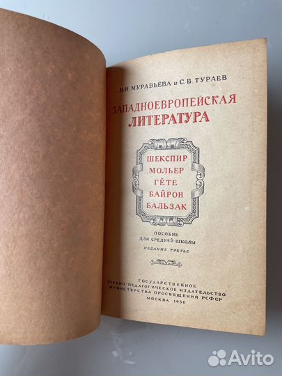 Муравьева Тураев 