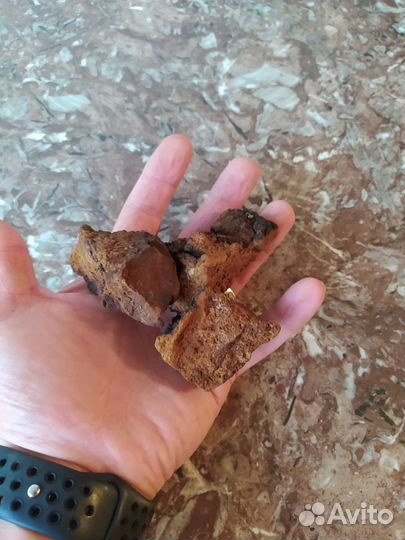 Березовый гриб чага