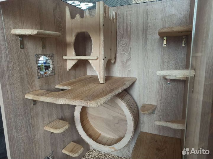 Шиншилла, клетка и корм